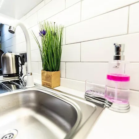 Fatih'de Olanagi Sunan Esyali