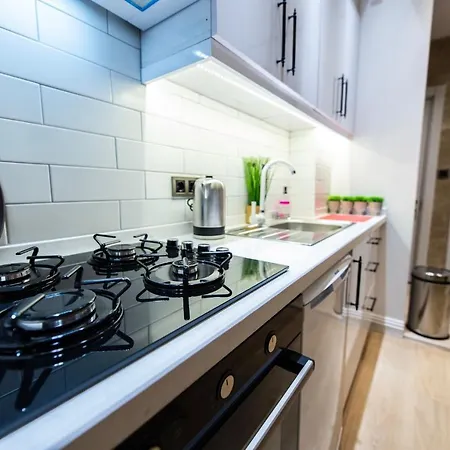 Fatih'de Olanagi Sunan Esyali Appartement *