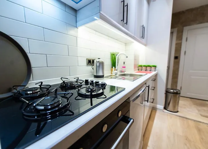 Fatih'de Olanagi Sunan Esyali Apartment *